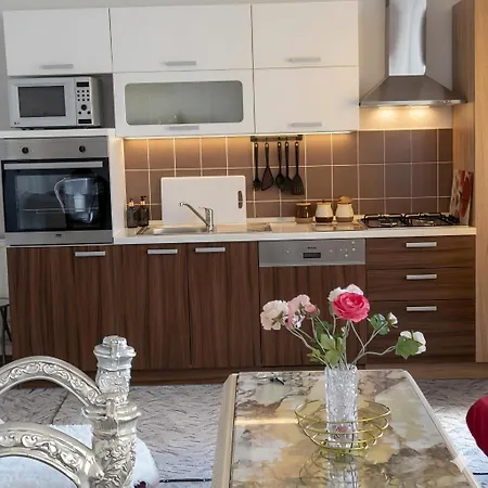 Croatia Borik For Family Eg2 * Zara